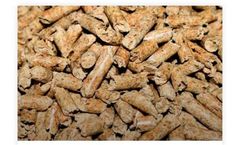 Biodensa - Model ENplus-A1 6 mm - Wood Pellets