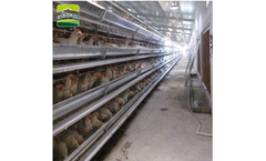 Jinhui - Industrial Chicken House