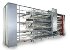 Jinhui - Layer Egg Chicken Cages