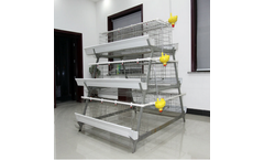 Jinhui - Automatic Design Layer Chicken Cage