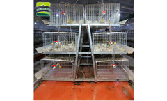 Jinhui Great Farm - Broiler Battery Cage Systems