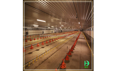 Jinhui - Layout Farm Brolier Cage