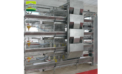 Jinhui - Automatic Battery Layer Chicken Cage