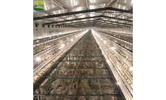 Jinhui - H Type Battery Automatic Chicken Cage