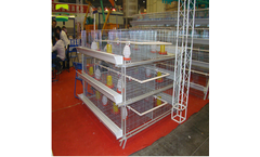 Jinhui - Vertical Baby Chicken Cages