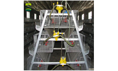Jinhui - A Type Broiler Cages