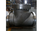 Pishon - Swing Check Valve