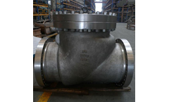 Pishon - Swing Check Valve