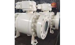 Pishon - High Pressure Forged Ball Valve