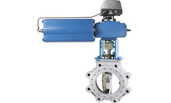 Pishon - High Performance Butterfly Valve