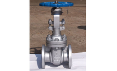 Pishon - Model API 600 - Gate Valve