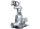 Pishon - Power Station Gate Valve