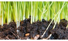 What nutrients are left in your soil?