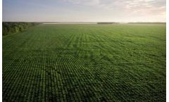 How weather stations can help make more informed crop management decisions
