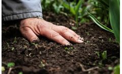 Crop rotation and soil health