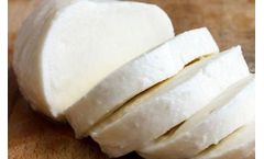 DAF Treats Dairy Effluent for Municipal Disposal
