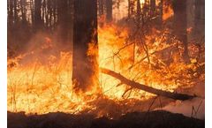 Wildfire’s Effects on Water