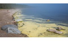 Study: Climate Change to Bring More Toxic Algal Blooms