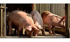 The Nitrates Directive