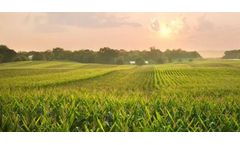 Agricultural Runoff Fuels Gulf Dead Zones