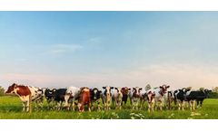Waste-to-Energy Solutions Improve Sustainability in the Dairy Industry