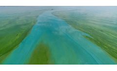 Study Identifies Cyanotoxins in Drinking Water