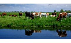 When Is It Best to Use Anaerobic Digestion?