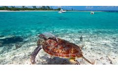 Revolutionizing Caribbean Water Resources Management