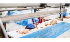 Solving Wastewater Challenges in Poultry Processing