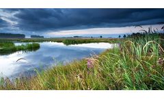 Overcoming Barriers to Adoption of Water Reuse