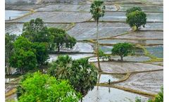 Mekong Delta Faces Saline Intrusion Crisis