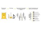 EP™ Technology - Increasing Yields Genetic Improvement