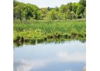 Septic Gobbler - Biological Wastewater Treatment