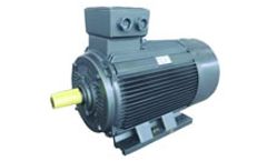 Electric Motor