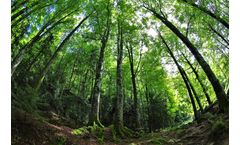 Achieving ppt Levels of Environmental Volatiles with a New Headspace Sampler