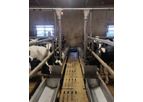 Falcon - White Meat Calves Chain Distribution System