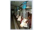 Falcon - Model AC-PVC - Fixed Housing Stalls