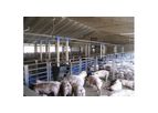 Falcon - AD Libitum Pig Feeding Systems