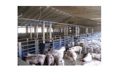 Falcon - AD Libitum Pig Feeding Systems