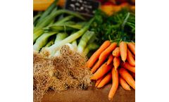 Laboratory Information Management Software (LIMS) for Food & Beverage Industry
