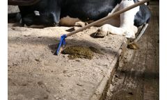 SMB ScrapeRake - Standard Scraper With Superior Durability