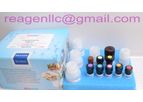 REAGEN - Model RND99022 - Chlorpromazine ELISA Test Kit