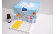 Aspergillus Flavus B1 ELISA Kit