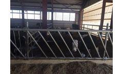 Calve Feed Fence  – 6M