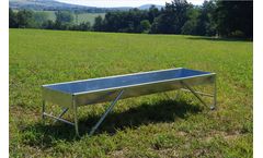 Feeder for Bulls