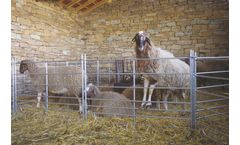 Module Hurdle for Sheep – 1.80 m/1.00 m