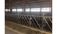 Feed Fence for Calves – 3M