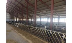 Calf Feeding Fence 4M