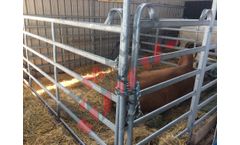 LIMK - Hurdles for Horses and Cows