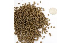 NON-GMO Fish Food For Aquaponics or Aquaculture